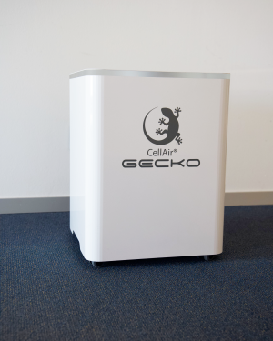 Gecko Home